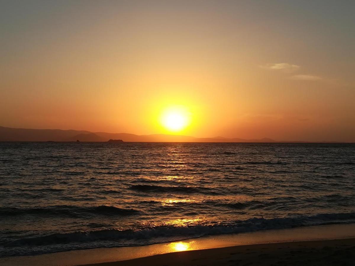 Amodari Studios On The Beach Pláka Dış mekan fotoğraf